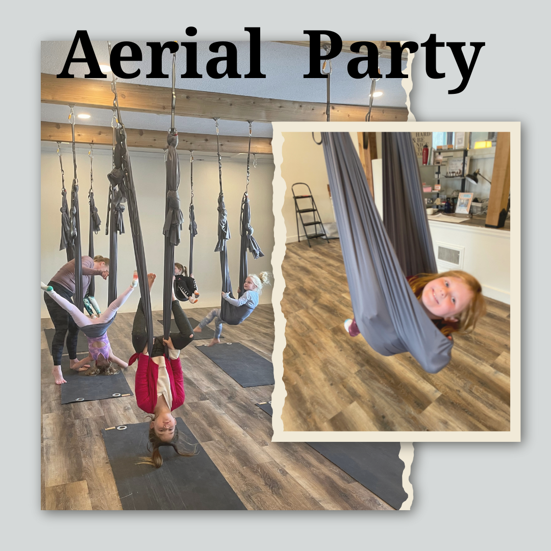 aerial party Minnesota