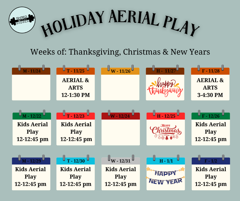 kids aerial fitness class winter break no school