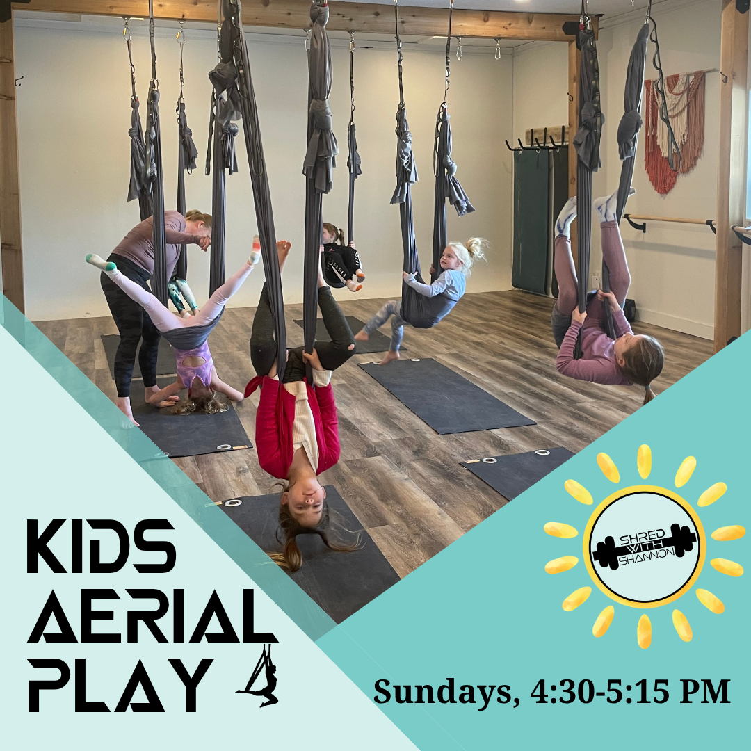 aerial fitness