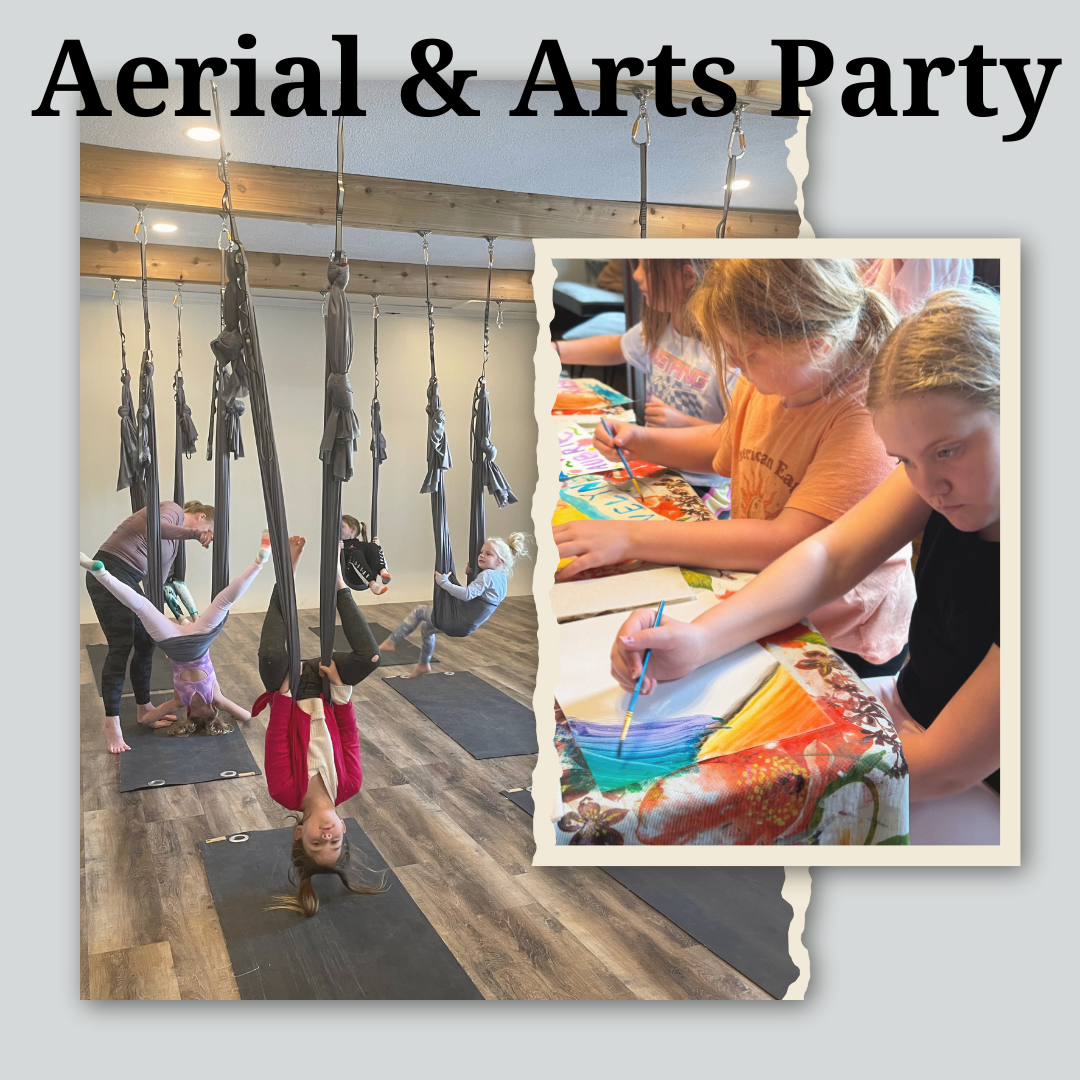 Aerial & Arts party