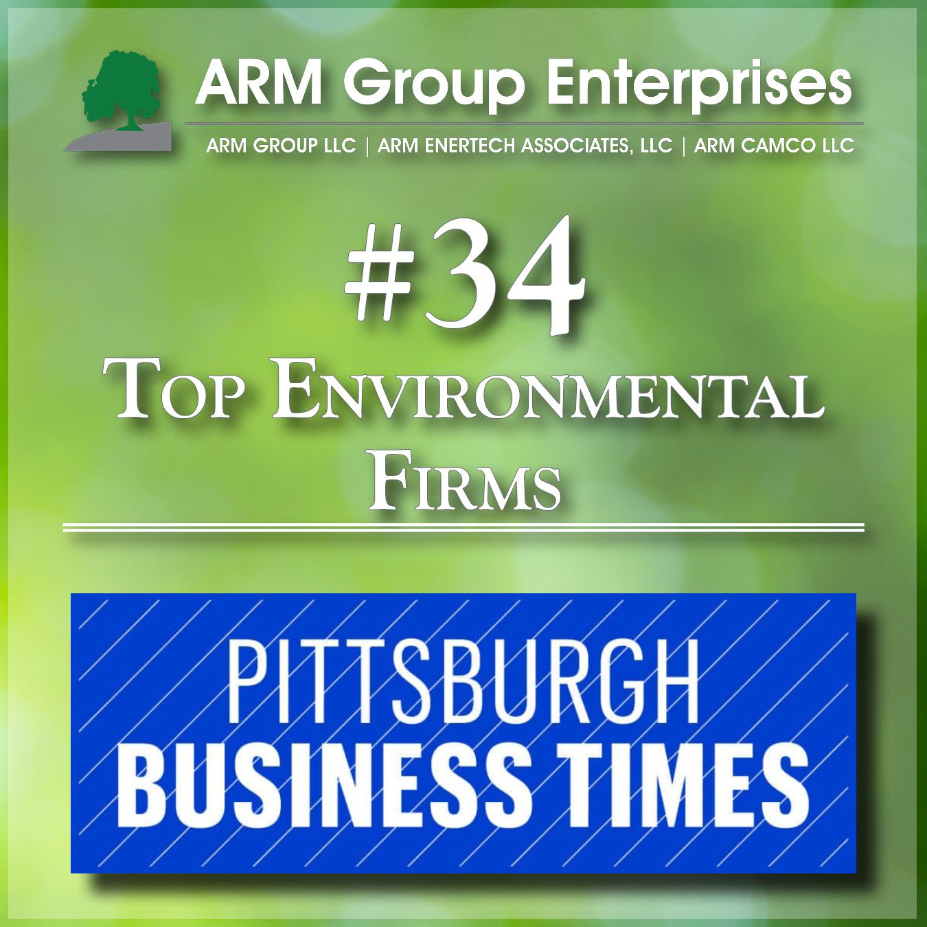 Pitt 2025 List of Top Environmental Firms