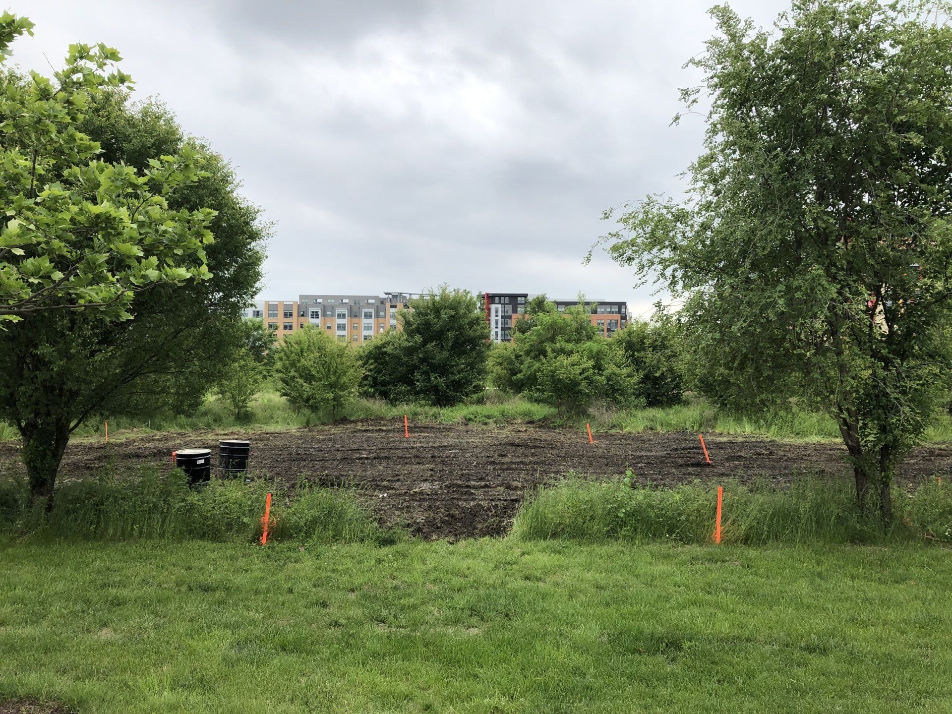 Institute for Defense Analysis