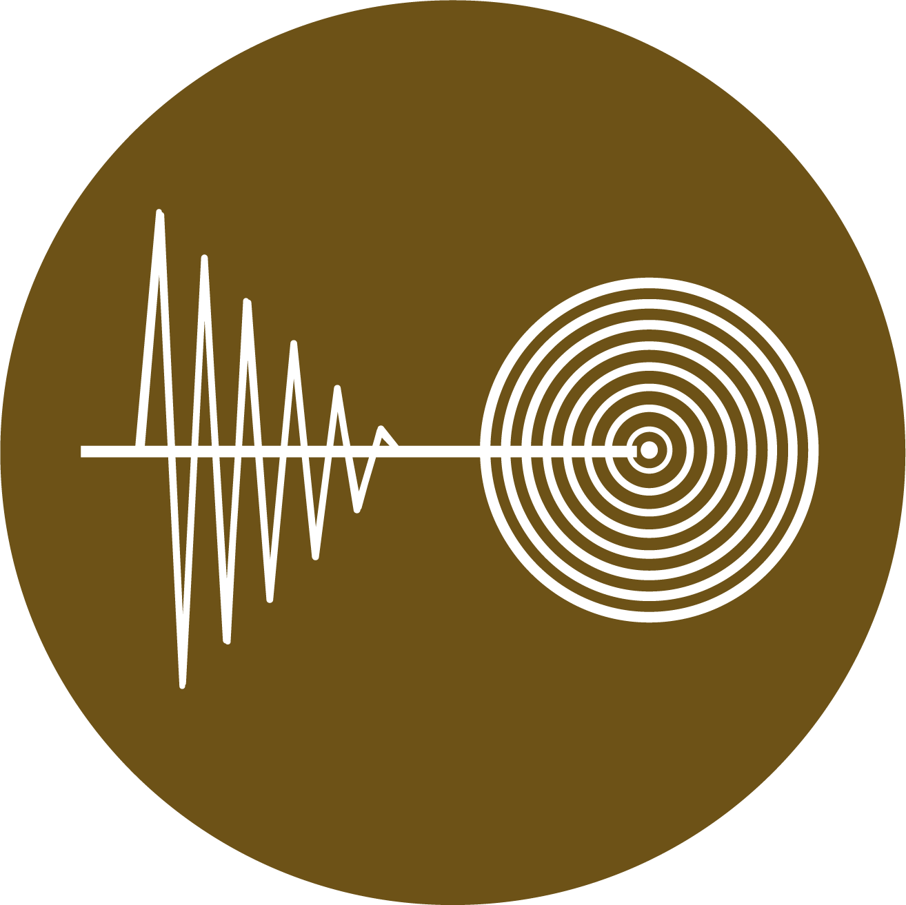 Geophysical Services - including seismic and GPR