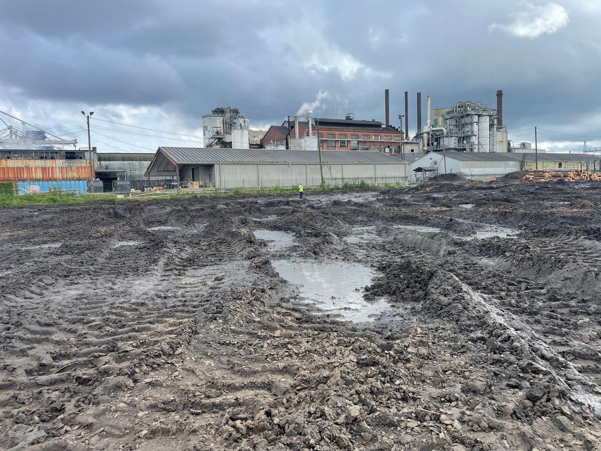 worker walking in between large piles of logs at environmental investigation site.