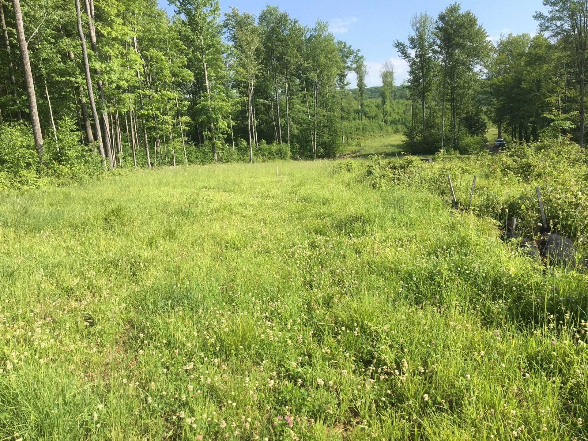 Green space that had been restored after natural gas operations had stopped.  ARM Group Natural Gas Services