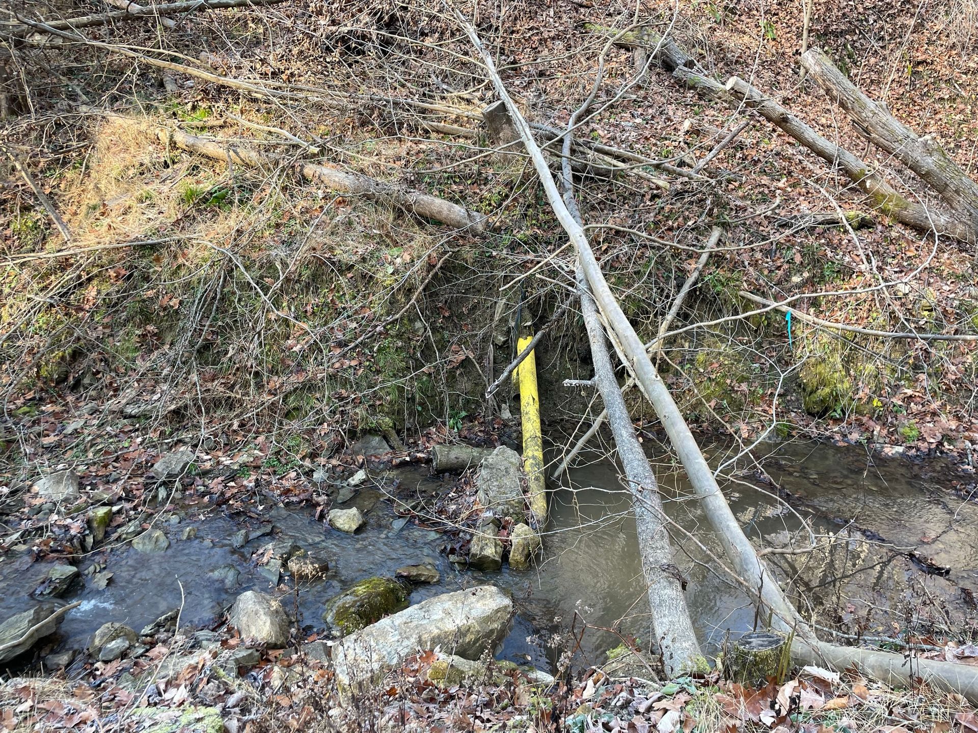 Exposed yellow natural gas pipeline in a streambed surrounded by fallen trees and signs of significant erosion along the streambank.
