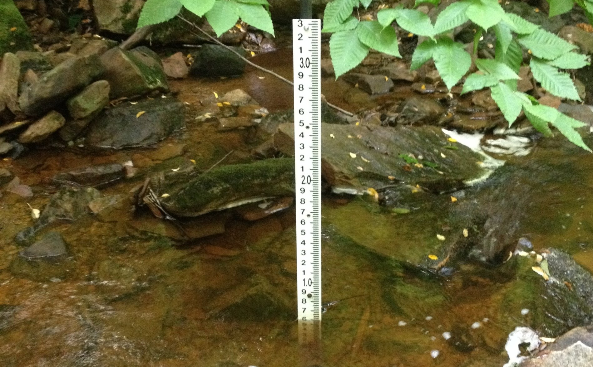 ARM Group Water Resources - Groundwater Supply Development