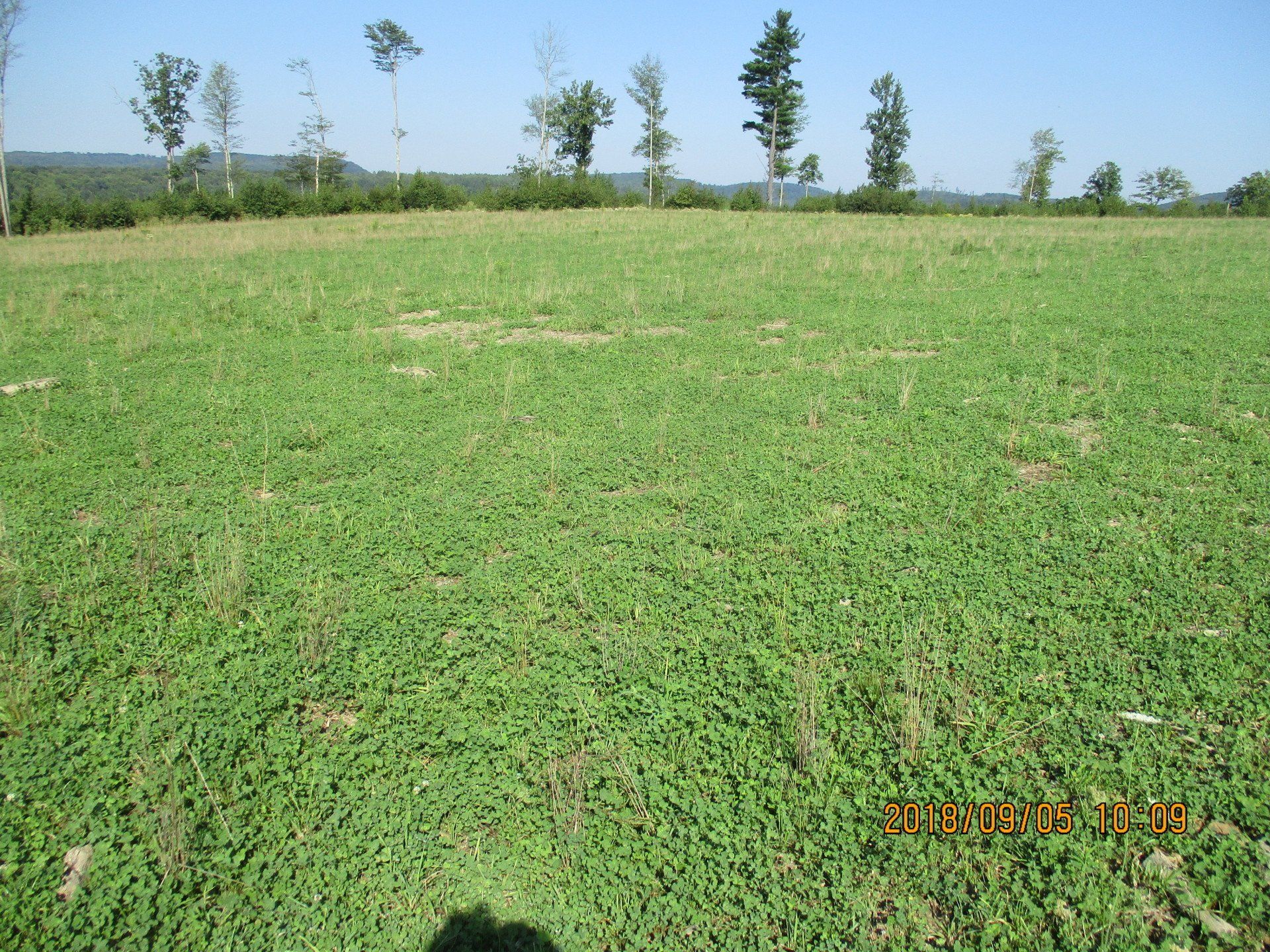 Area restored after well operations had stopped.  ARM Group Natural Gas Services