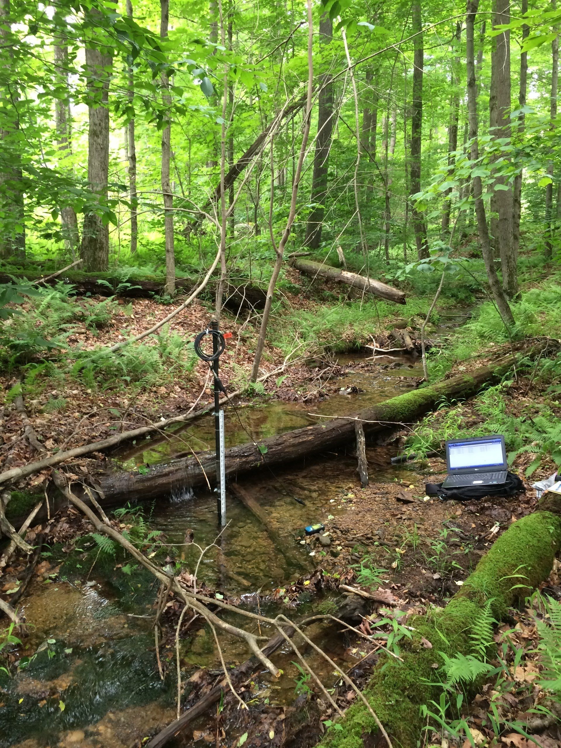 Stream Survey | ARM Group Natural Gas Services