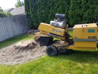 A yellow stump grinder is cutting a tree stump in a yard.