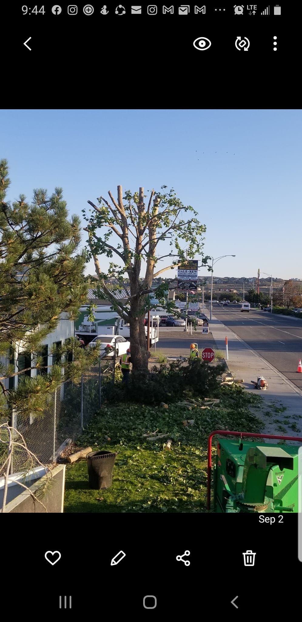 A phone screen shows a picture of a tree and a street.