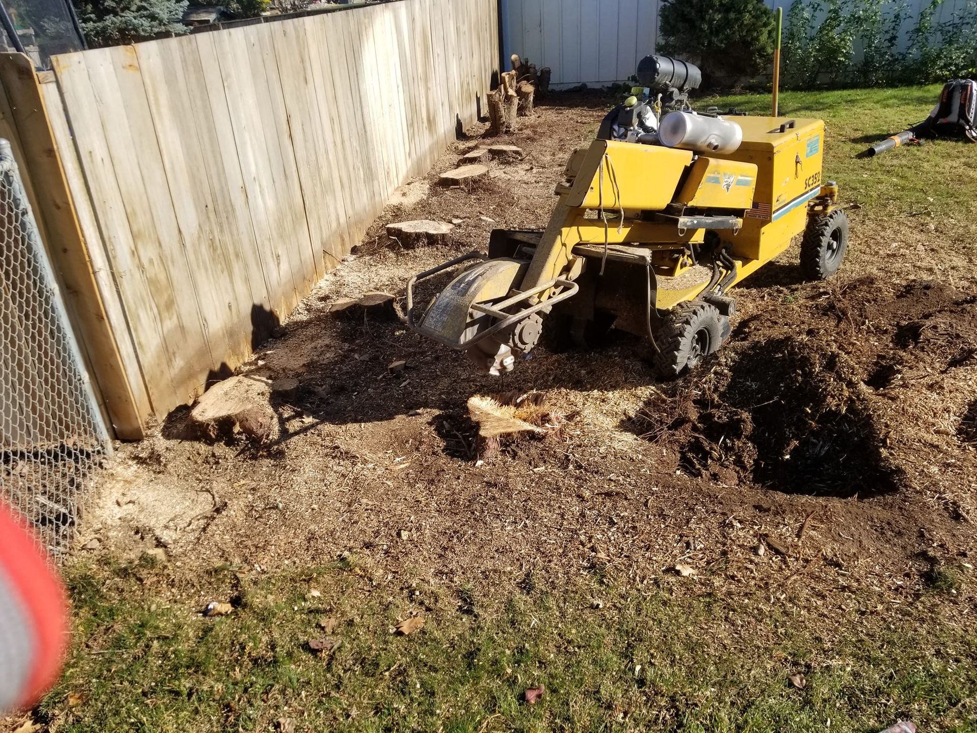 A yellow stump grinder is working on a tree stump in a yard.