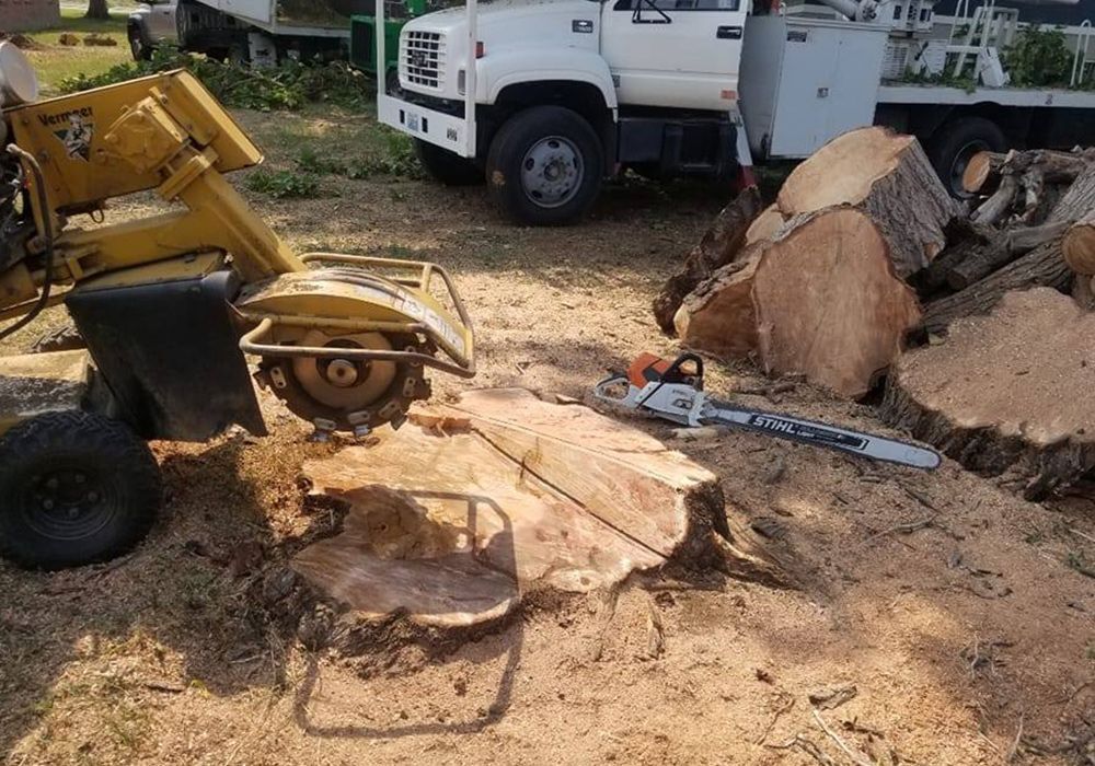 A large tree stump is being removed by a stump grinder and a chainsaw.