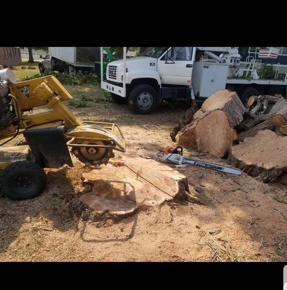 A stump grinder is sitting next to a tree stump and a truck.