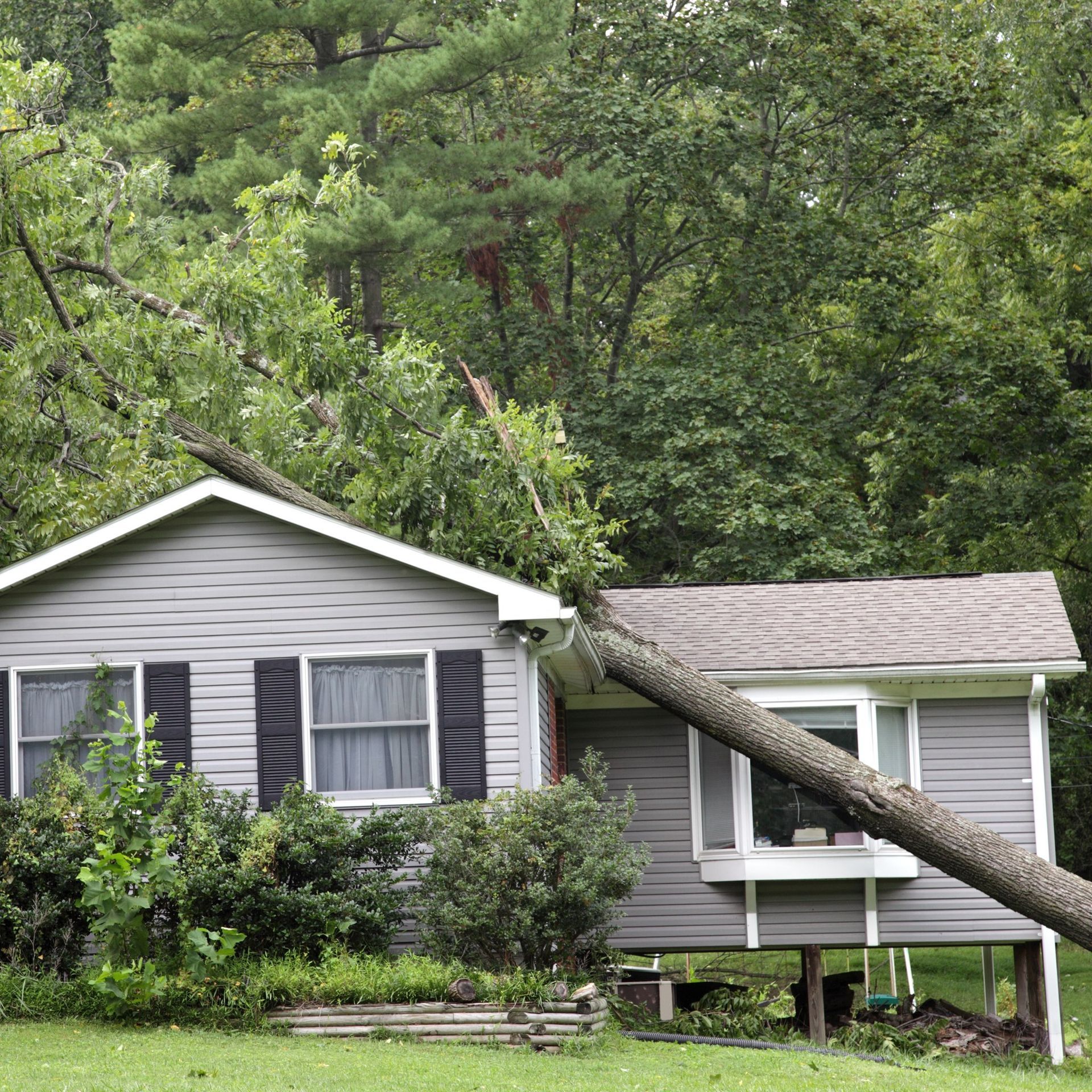Emergency Tree Removal — Pasco, WA — Supreme Tree Service