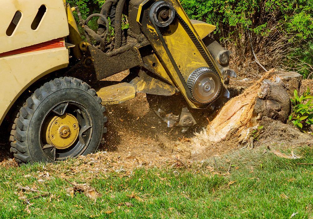 Stump Removal — Pasco, WA — Supreme Tree Service