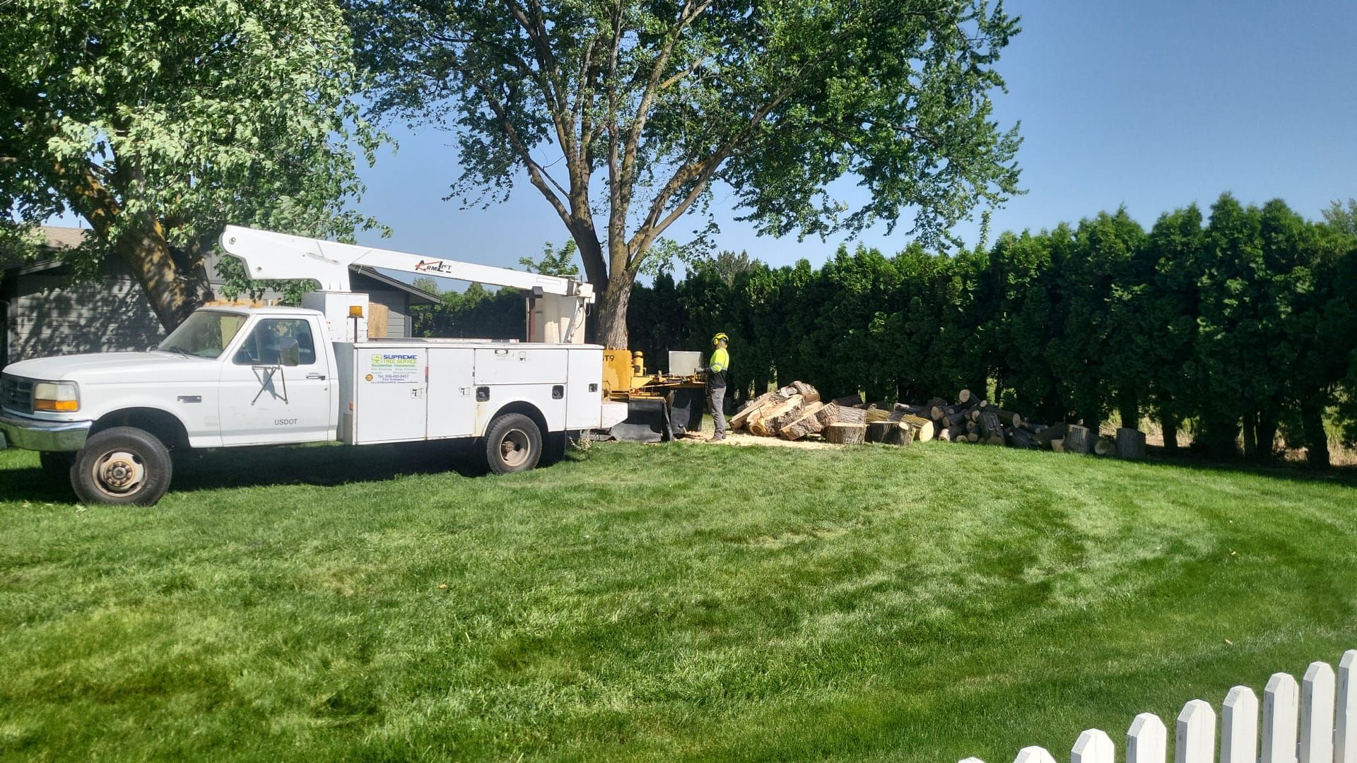 A white truck is parked in the grass next to a tree.