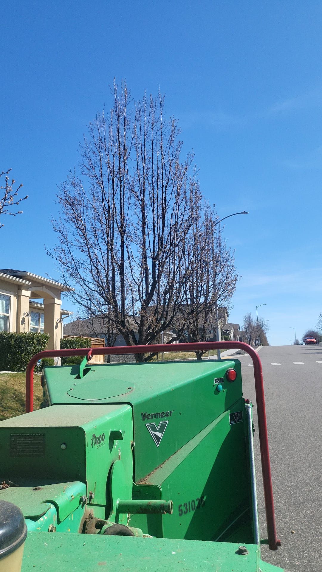 A green vehicle is parked on the side of the road next to a tree.