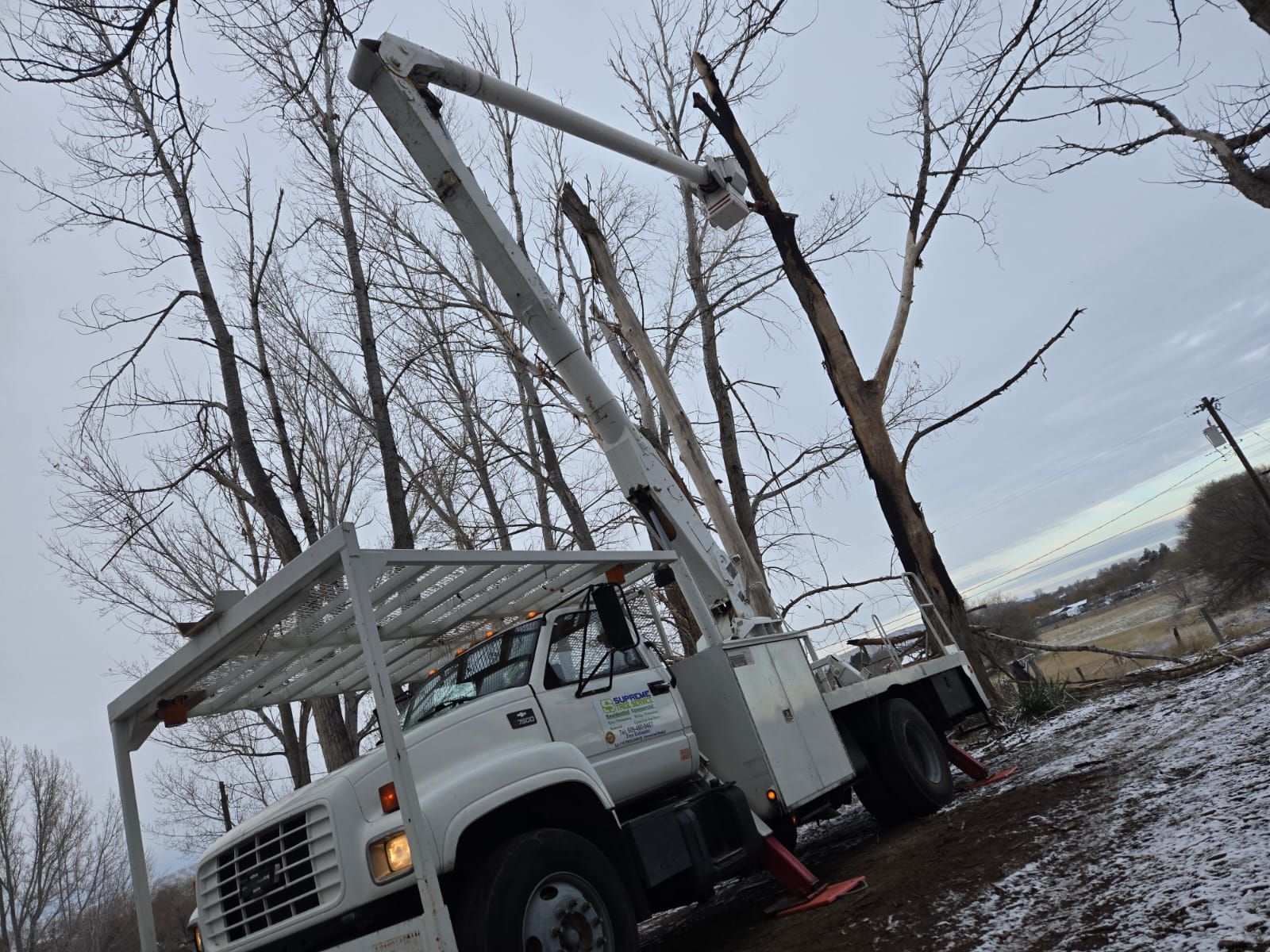 A white truck with a crane attached to it is parked next to a tree.