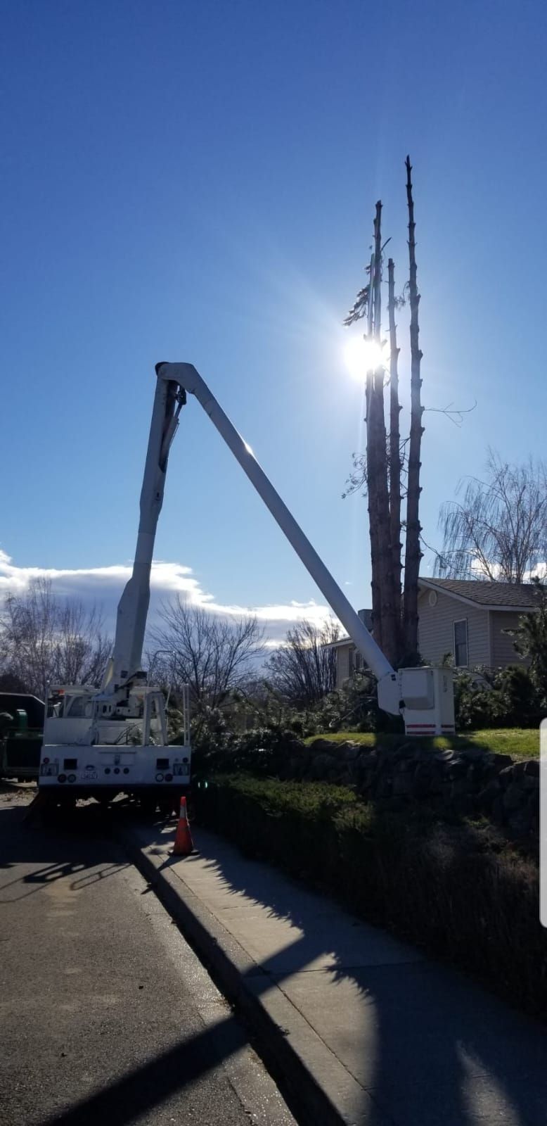 A crane is cutting a tree in front of a house.
