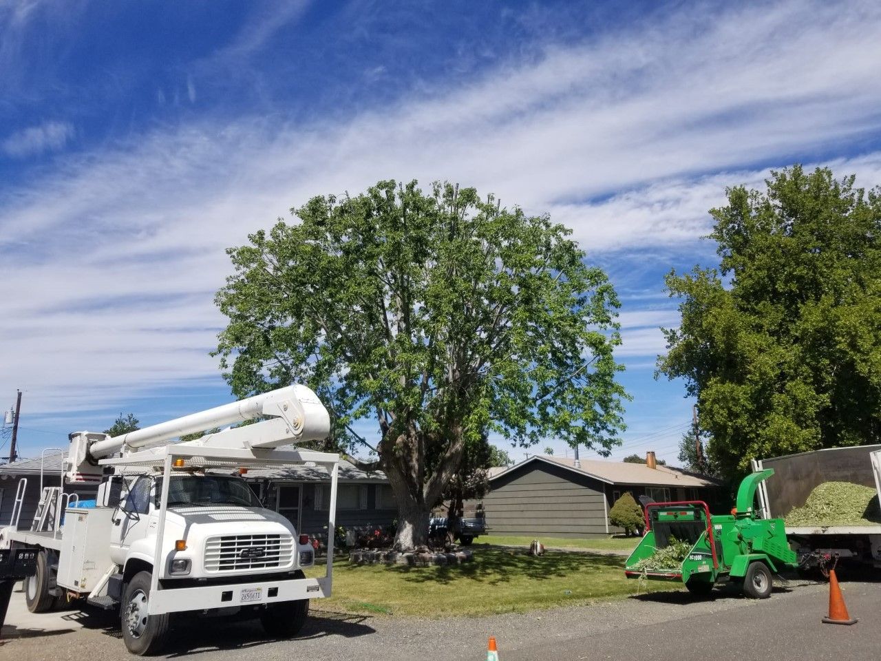 A white truck with a crane on top of it is parked in front of a tree.
