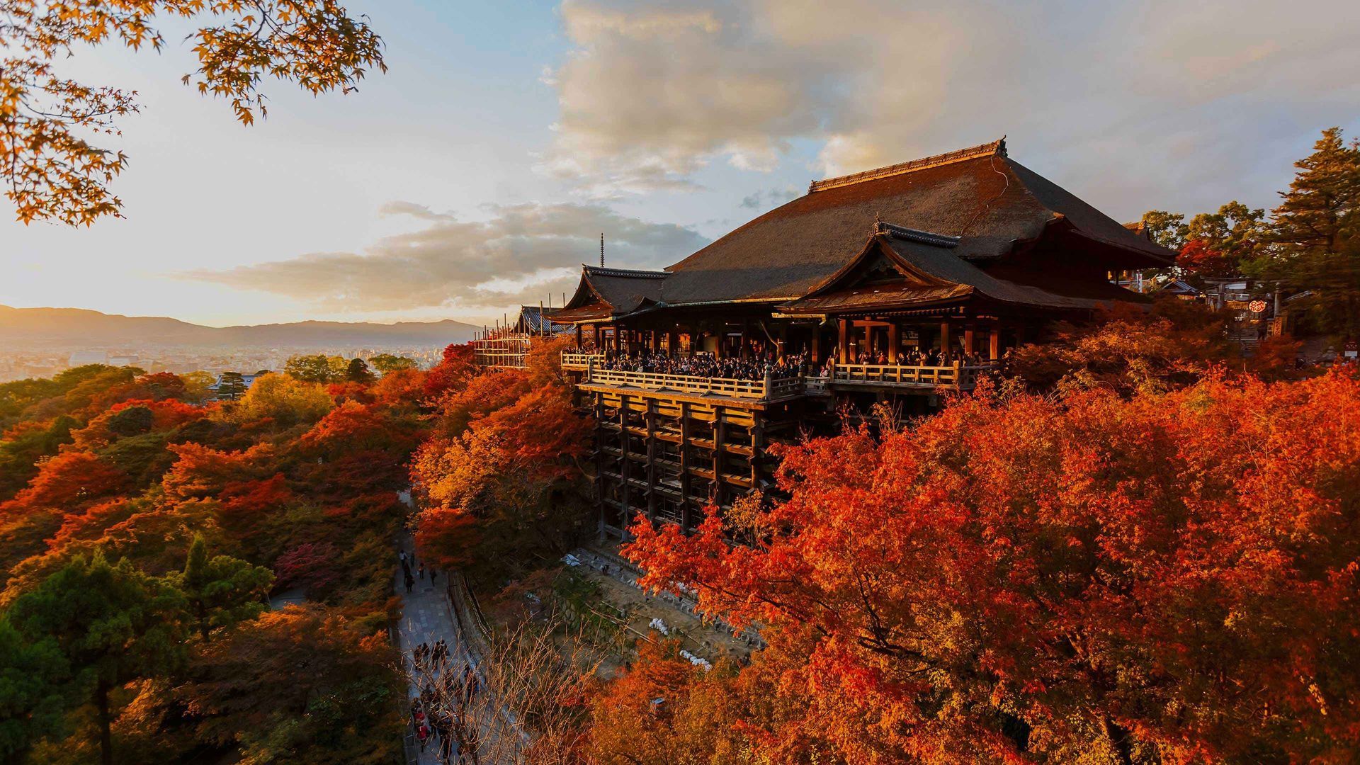 Asia & Japan: Culture, Calm, and Contemporary Luxury