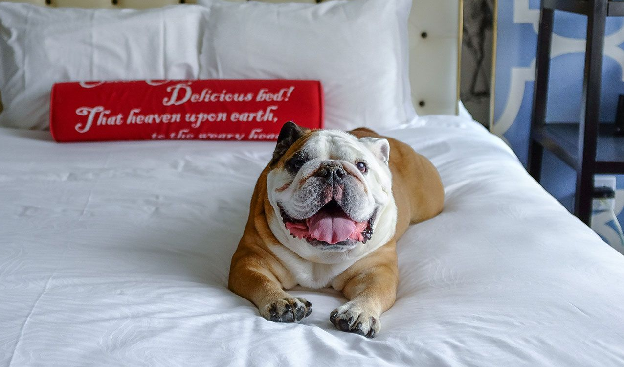Kimpton Hotels (Worldwide)