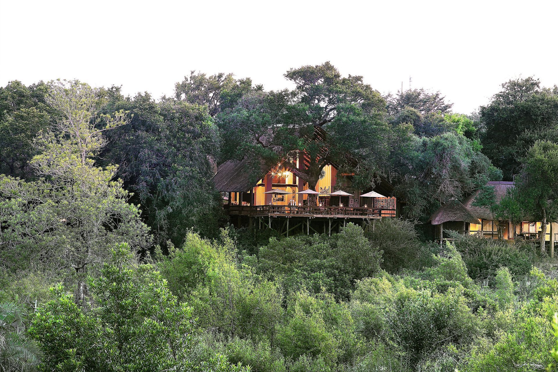 Londolozi Private Game Reserve – Sabi Sand