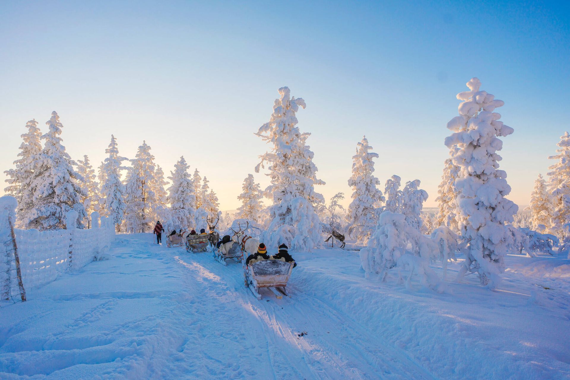 Saariselkä – Peaceful Wilderness