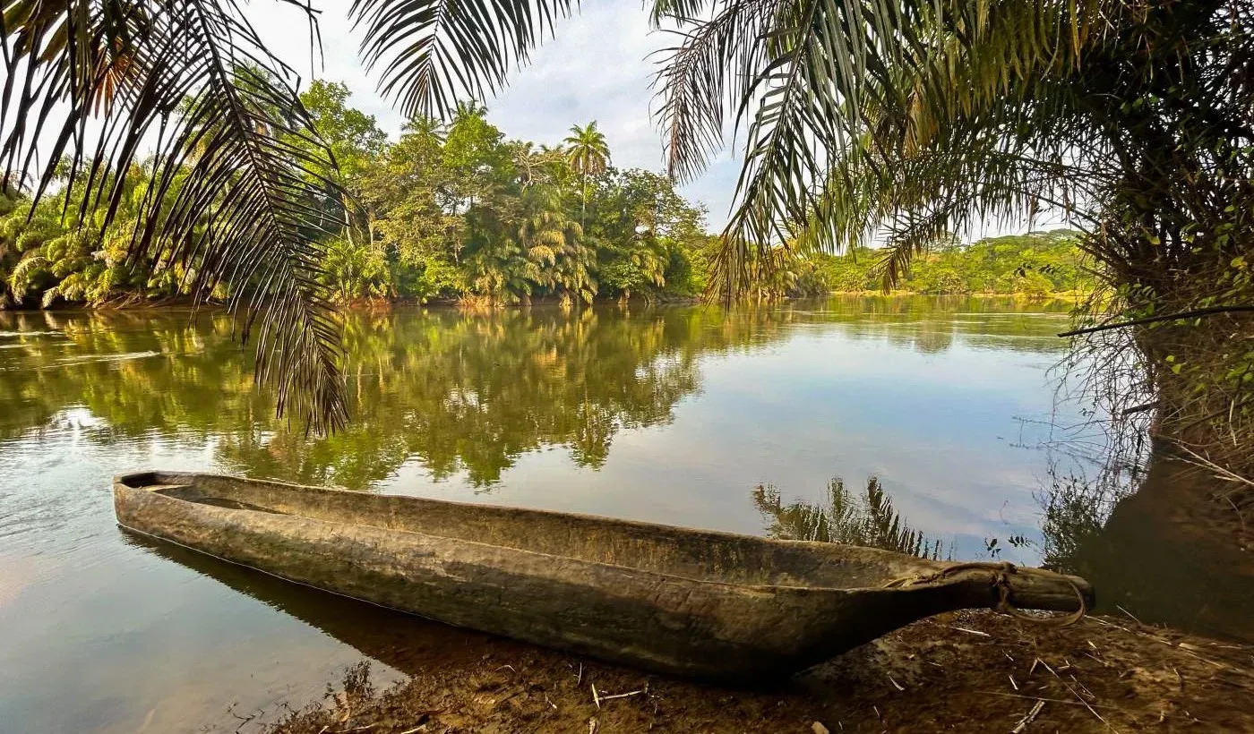 Tiwai Island, Sierra Leone — Rainforest Wildlife & Eco Adventure