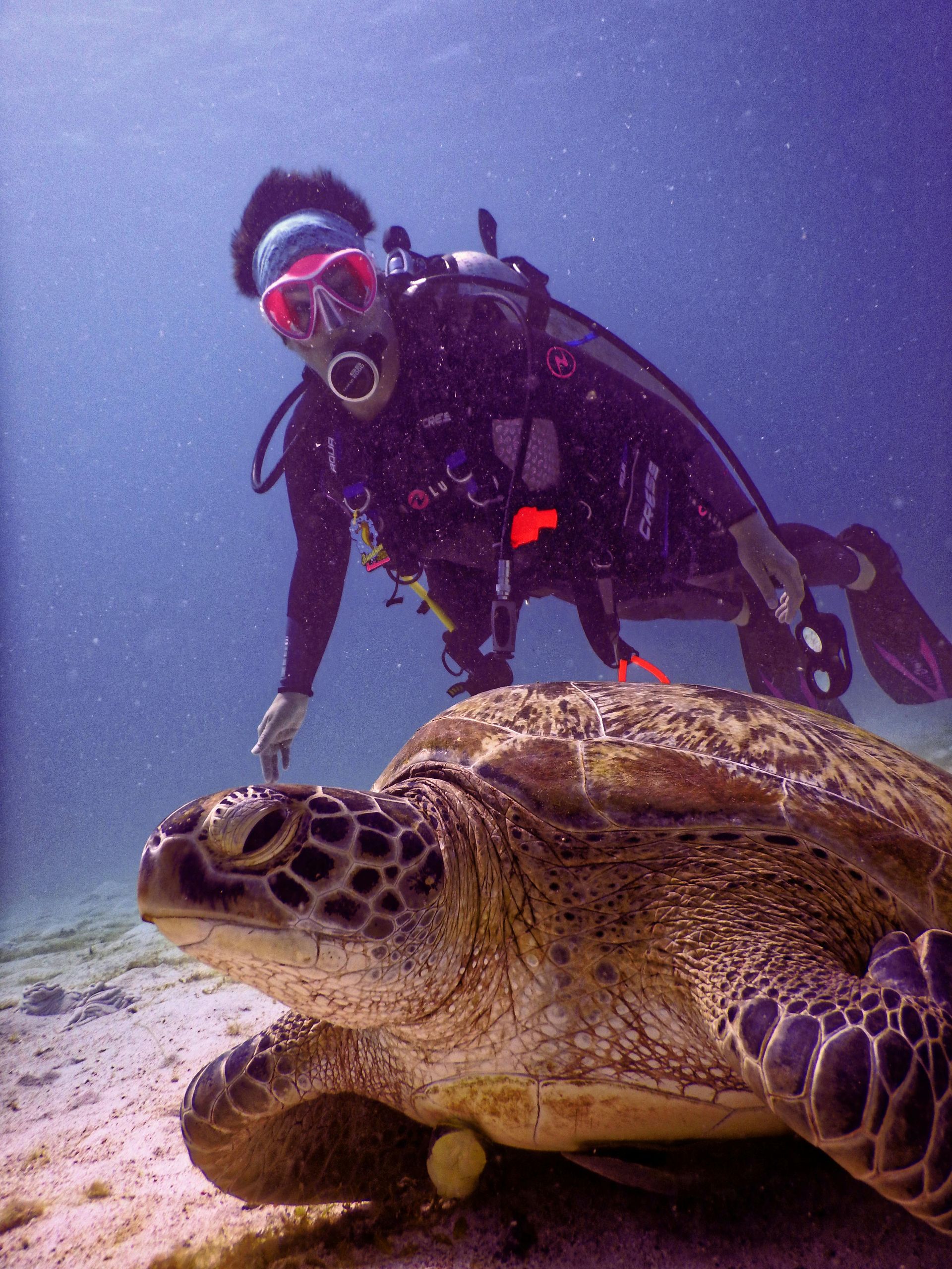 Indonesia Snorkelling