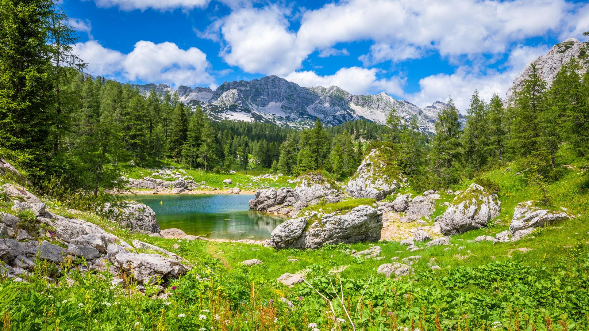 Lake Bohinj, Slovenia — A Tranquil Alpine Escape