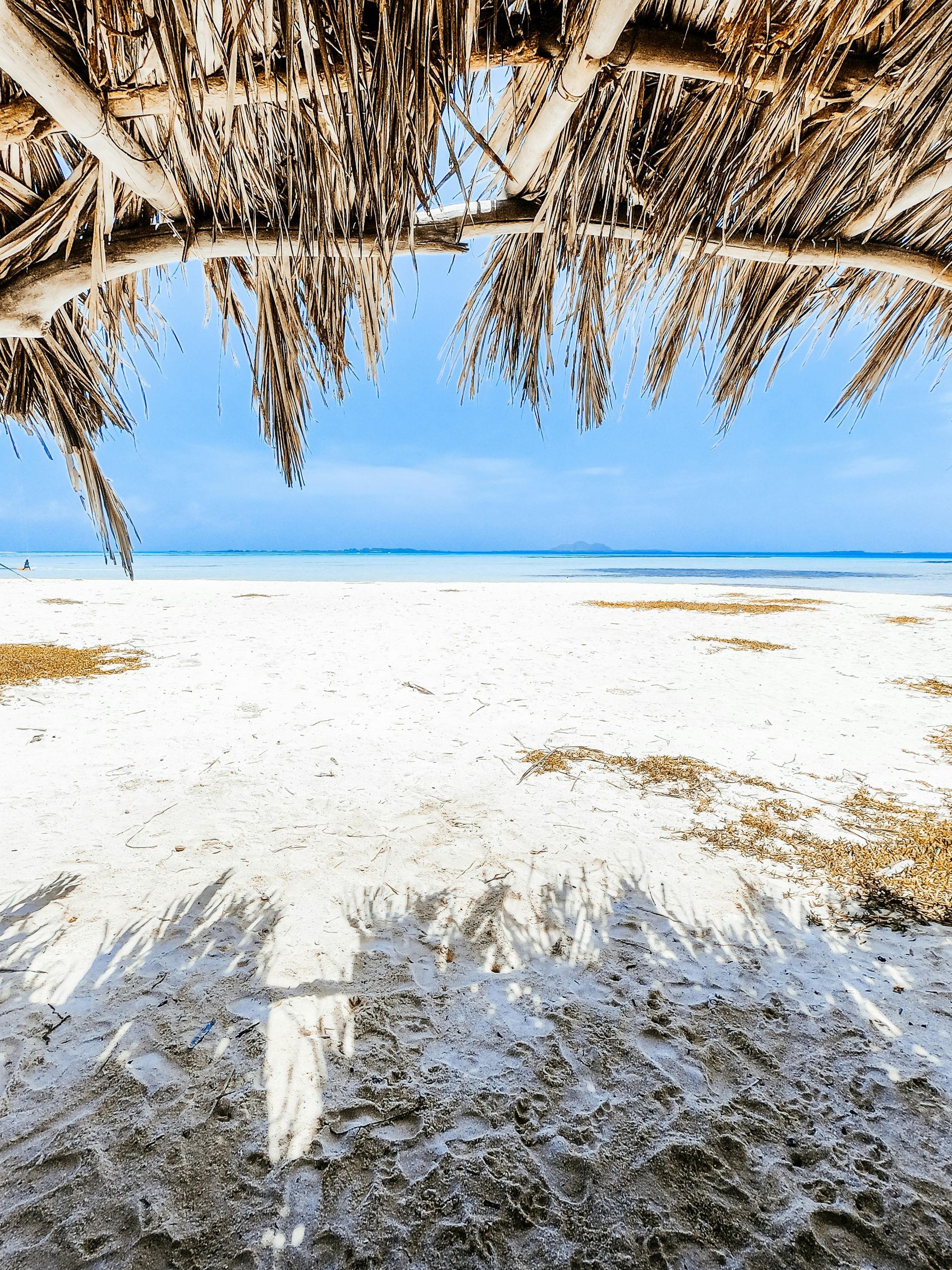 Diani Beach with Jamie Wake Travel
