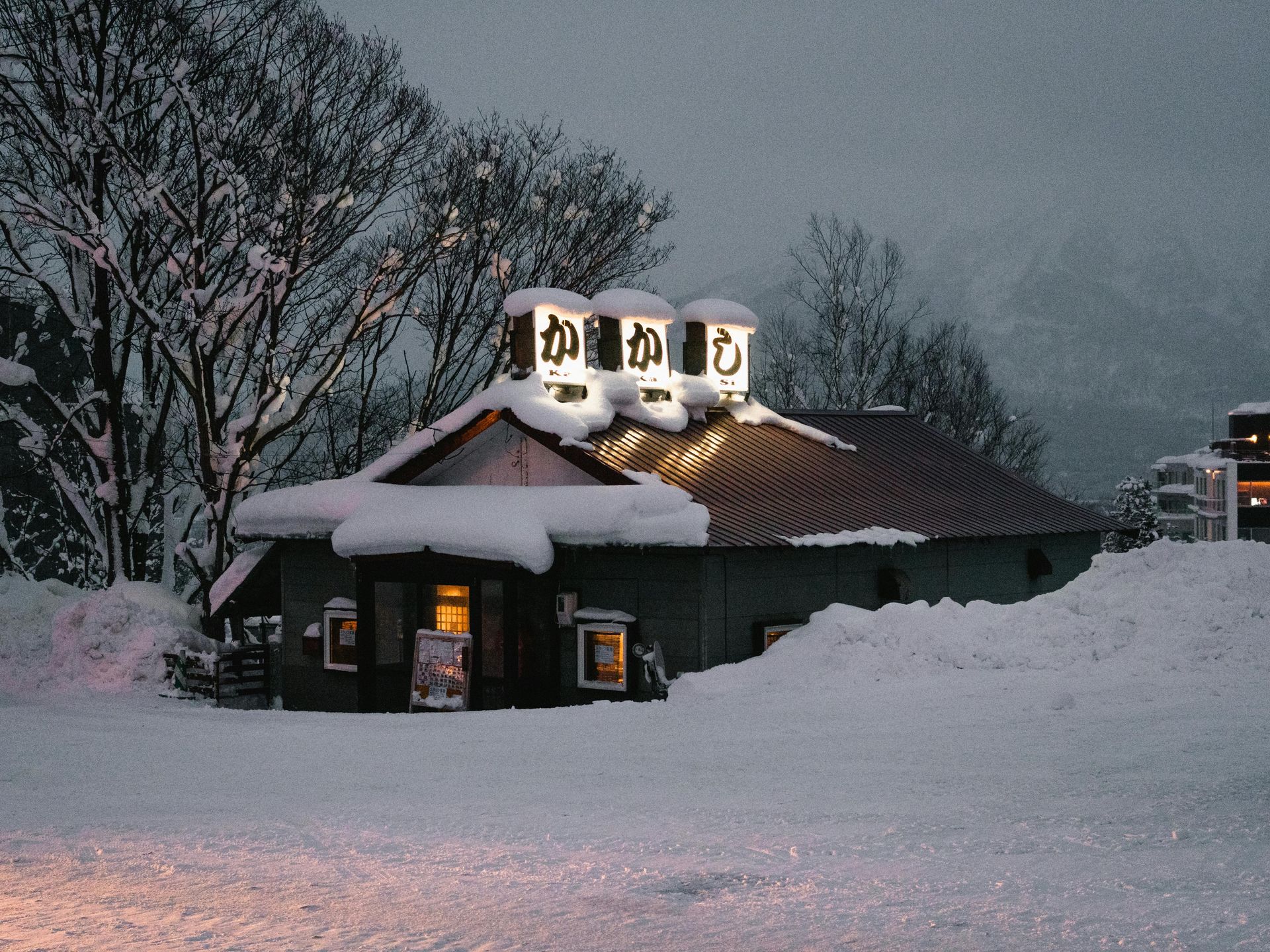 Hokkaido, Japan – Powder Snow and Peaceful Winterscapes