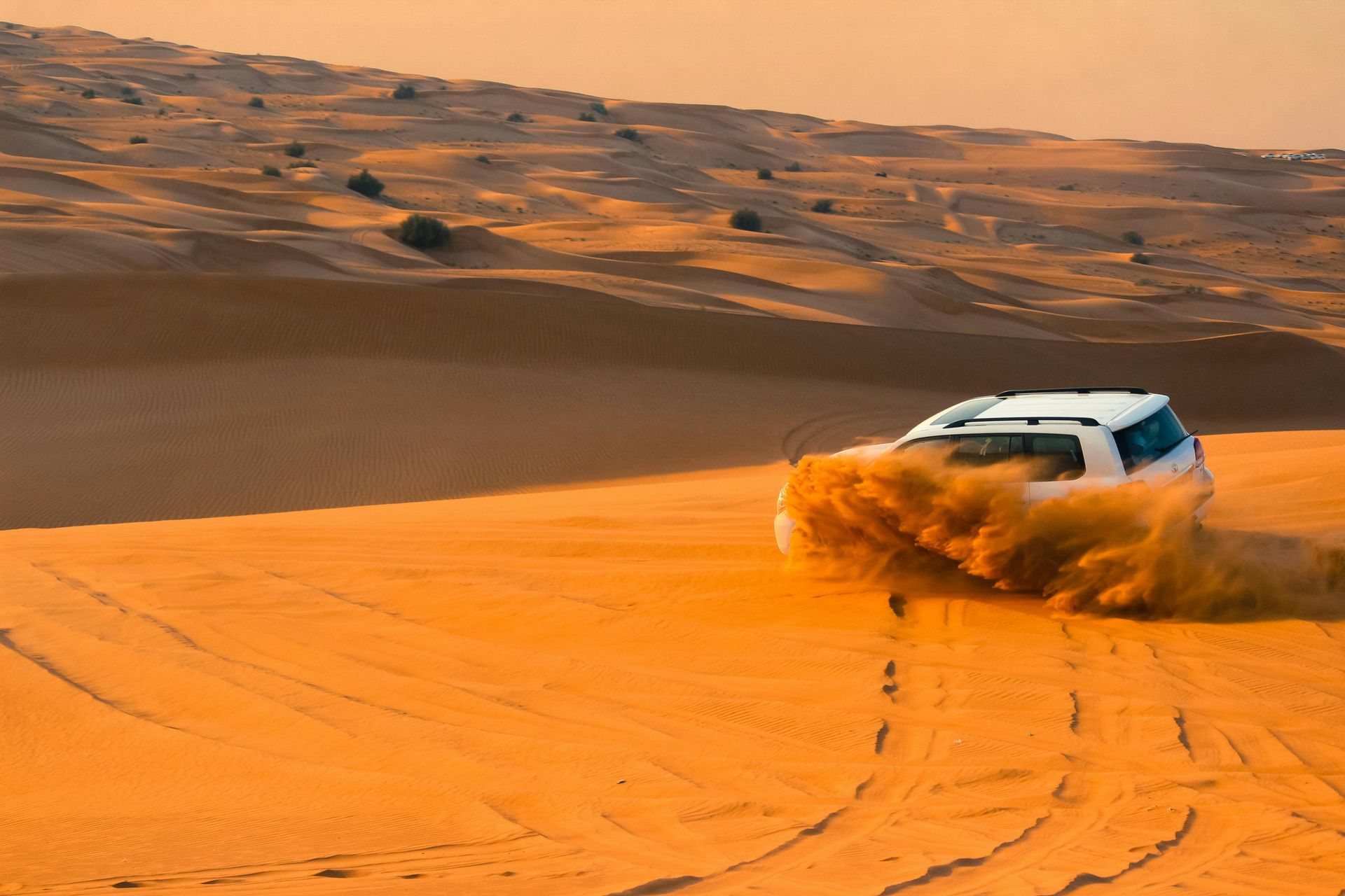 Adventure holidays in Dubai