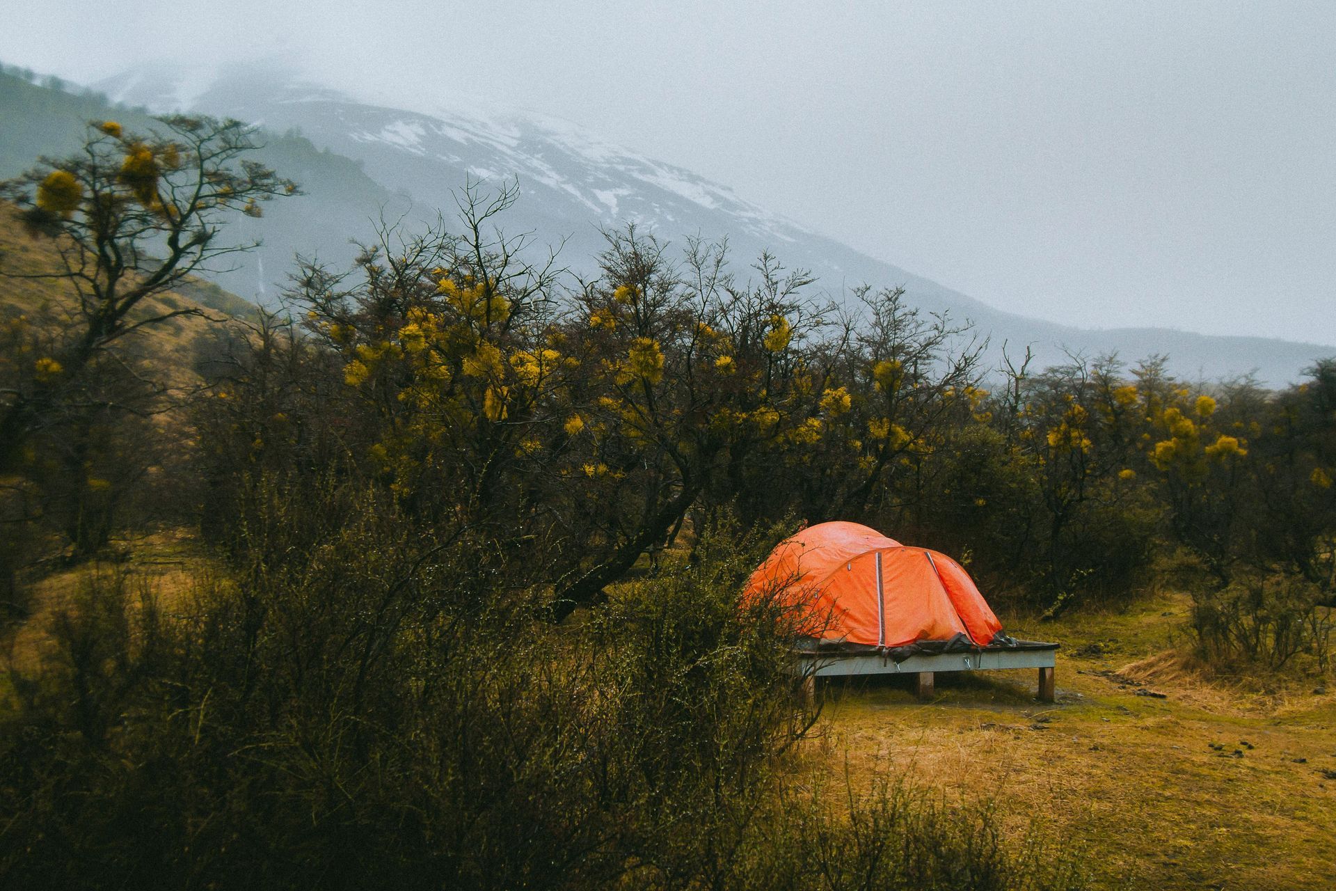 Activity Holidays in Torres del Paine National Park