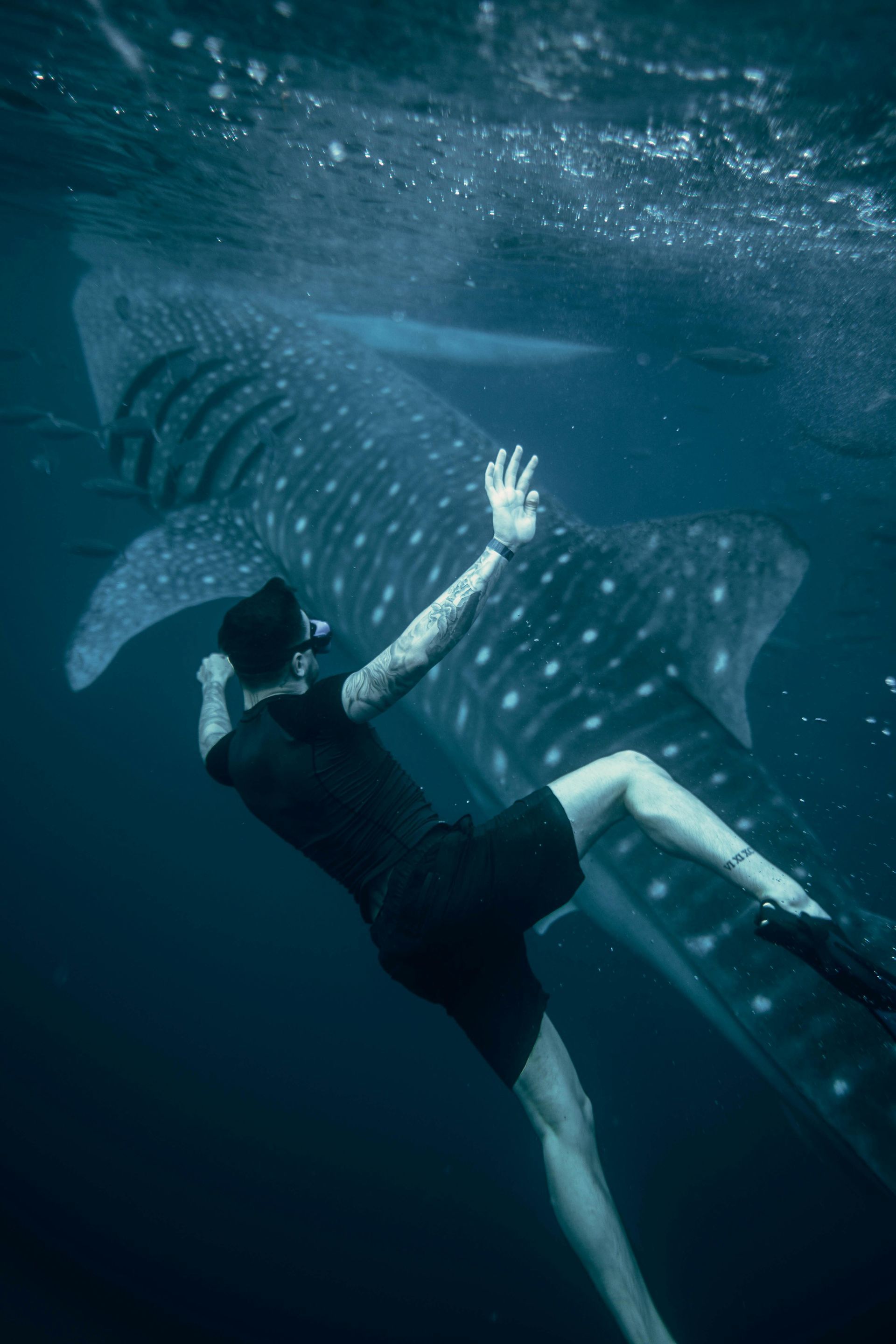 Snorkelling in the Philippines