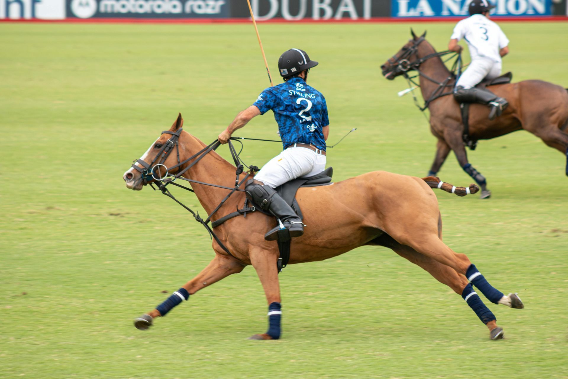 Enjoy a Polo & Champagne Weekend in Argentina’s Pampas