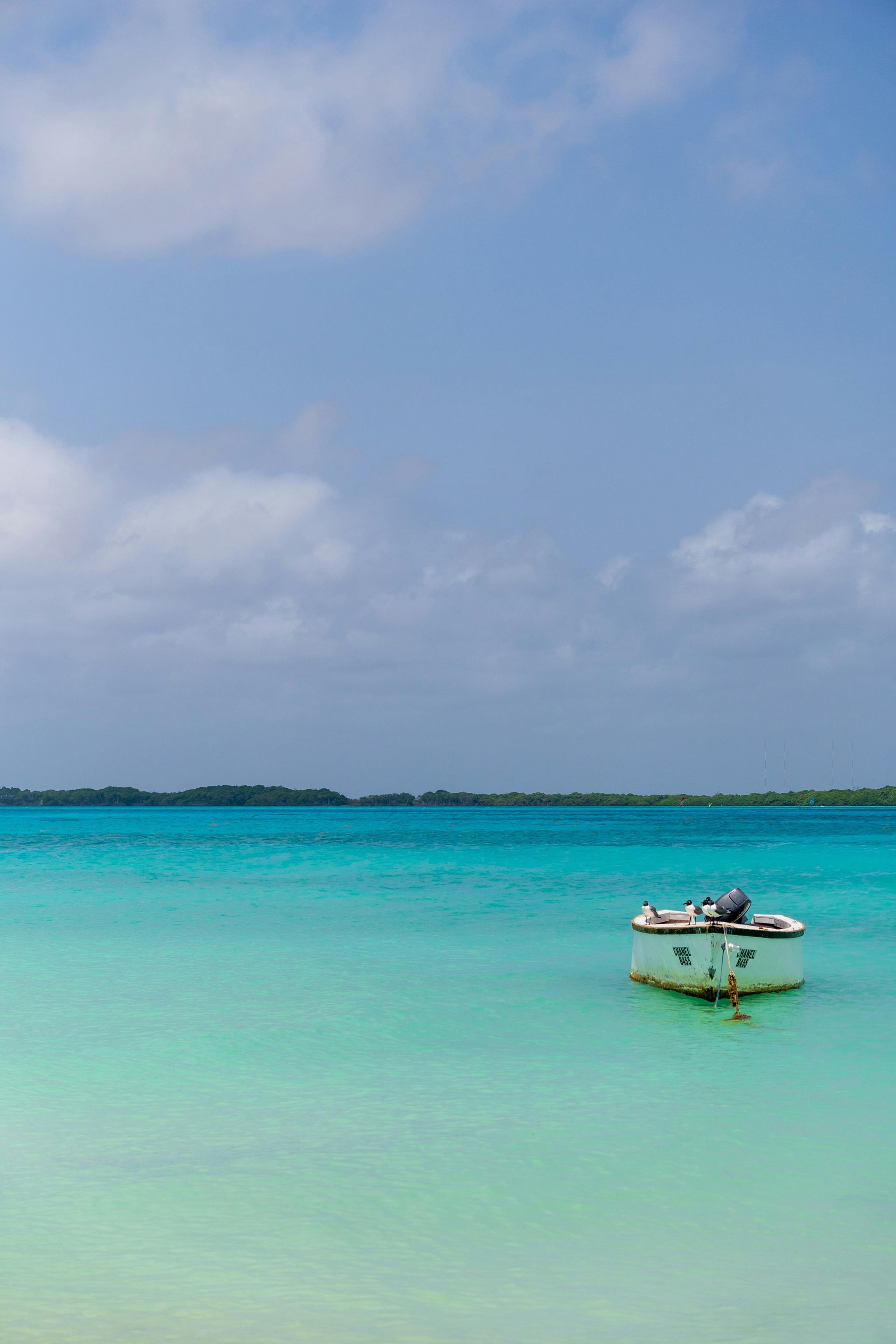 Scuba Diving in Bonaire with Jamie Wake Travel