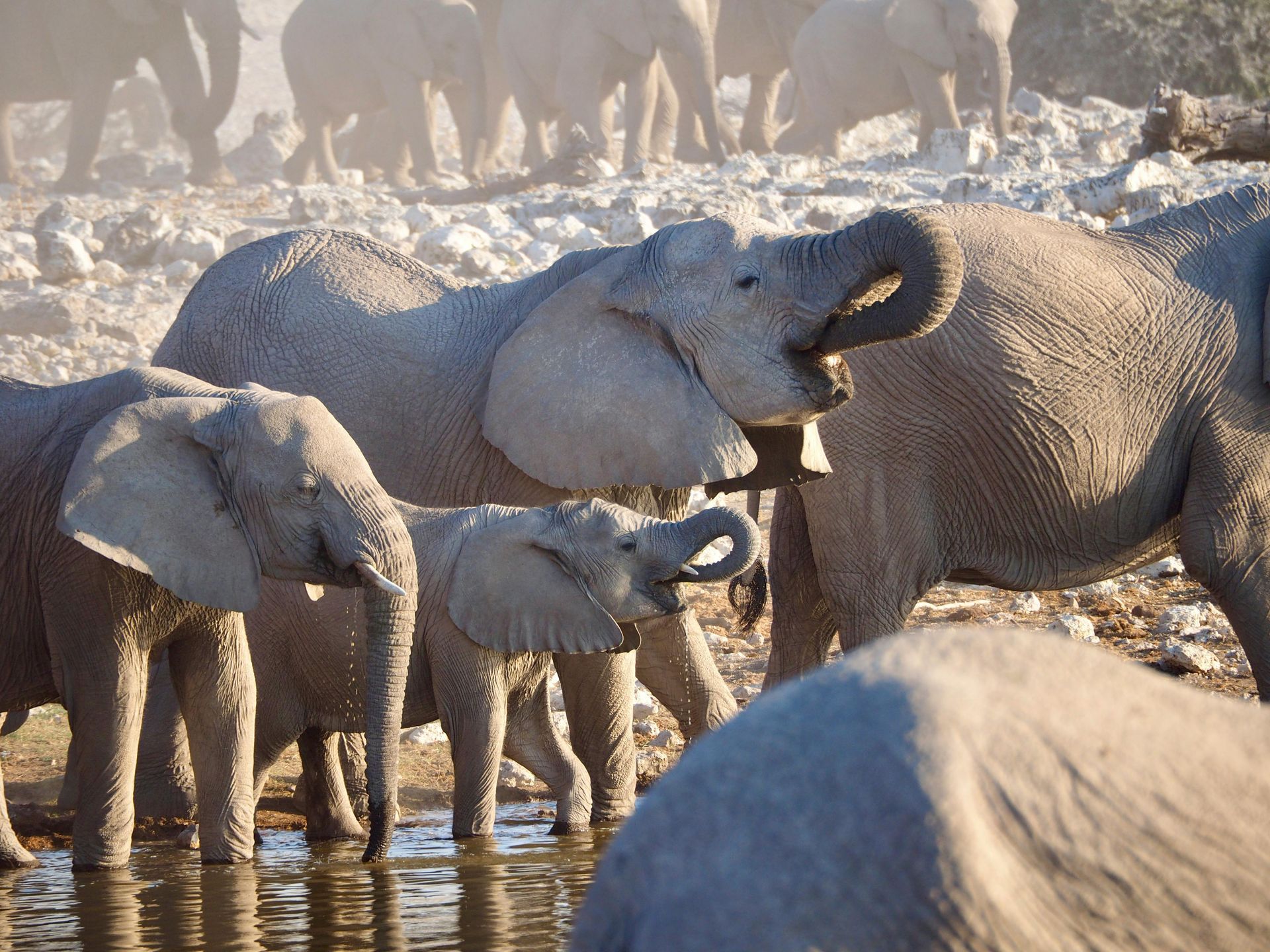 Southern Africa — South Africa & Botswana
