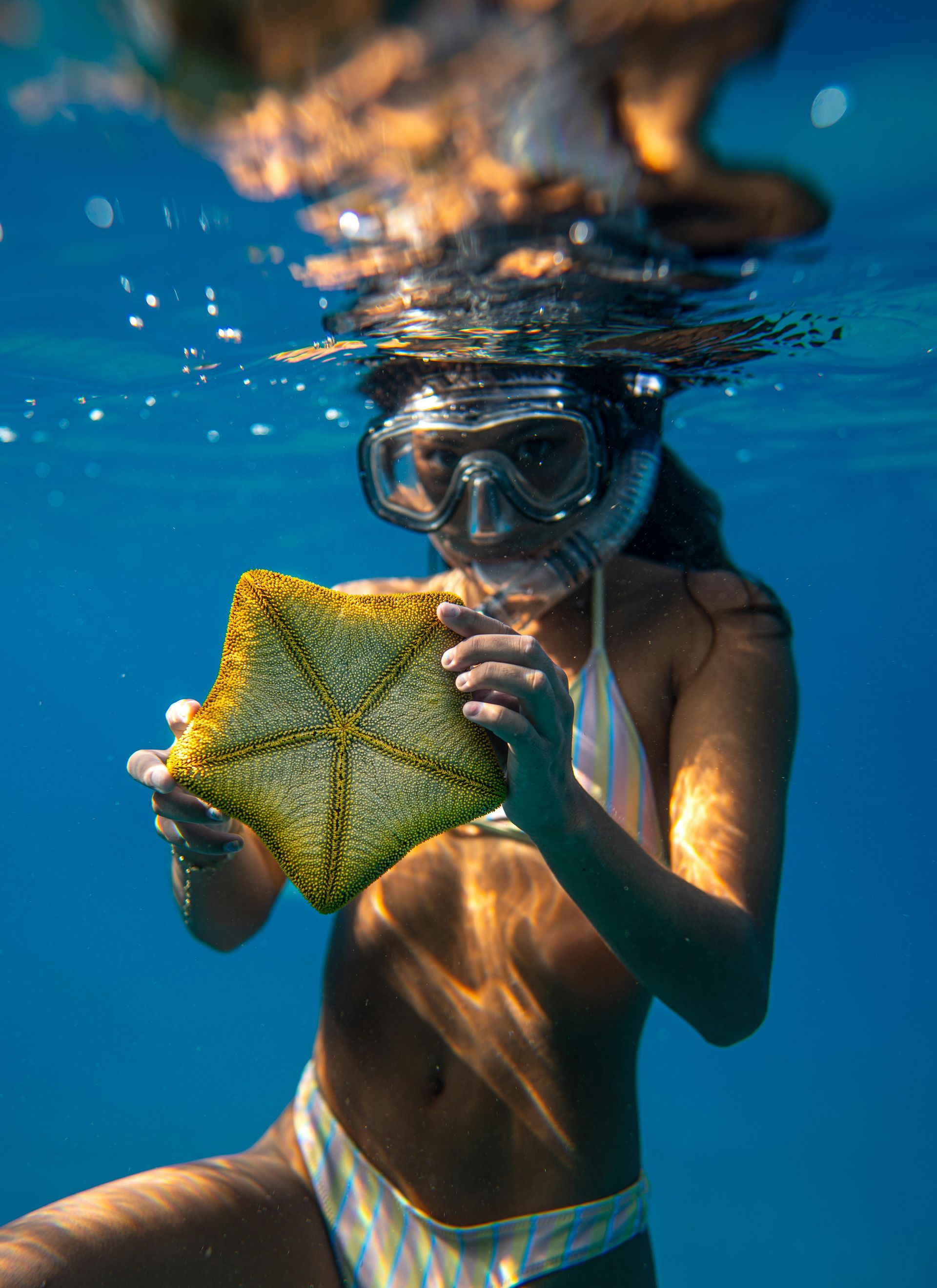 Palau, Micronesia — Drift Diving Paradise