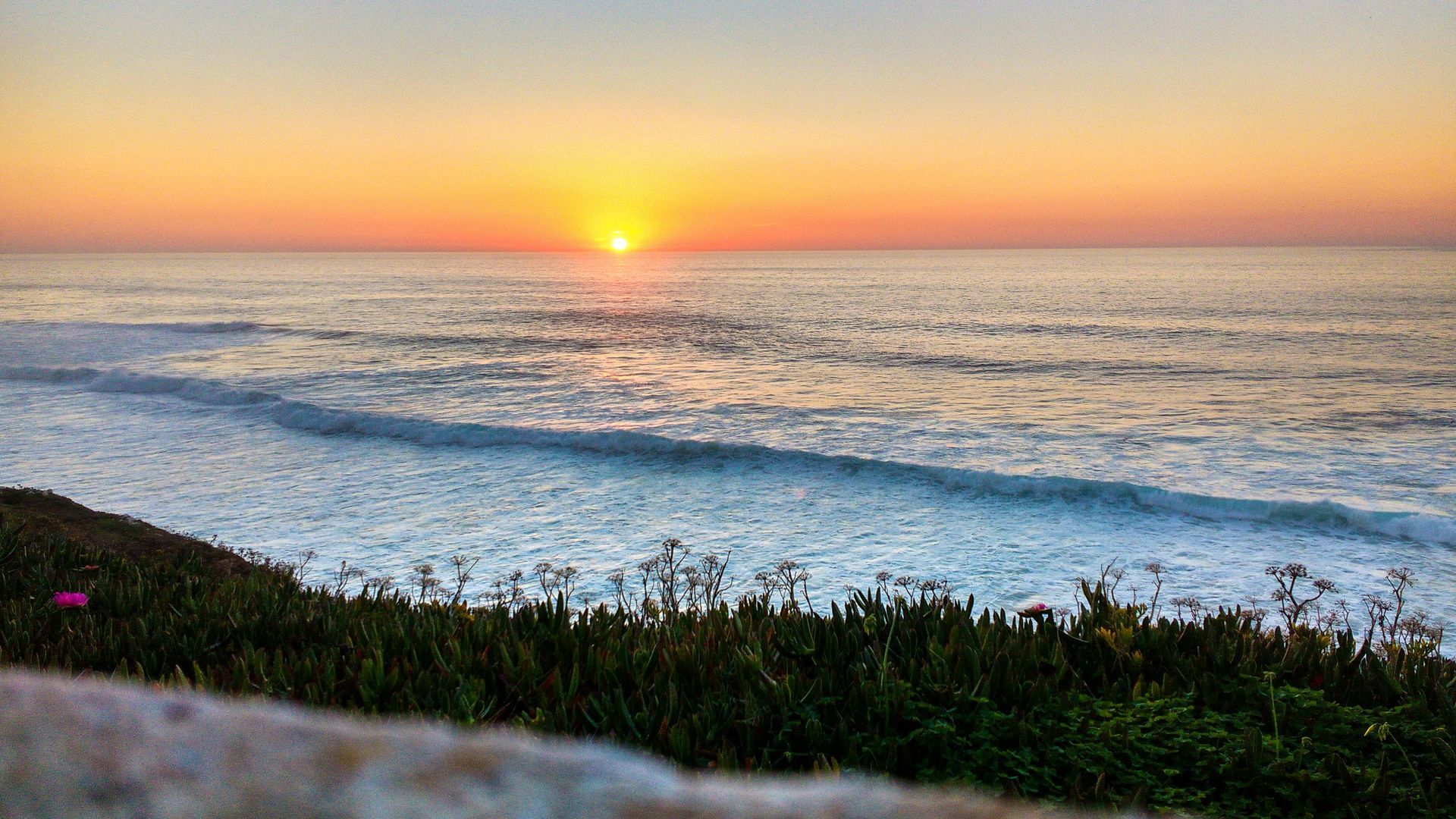 Ericeira Surf Holidays