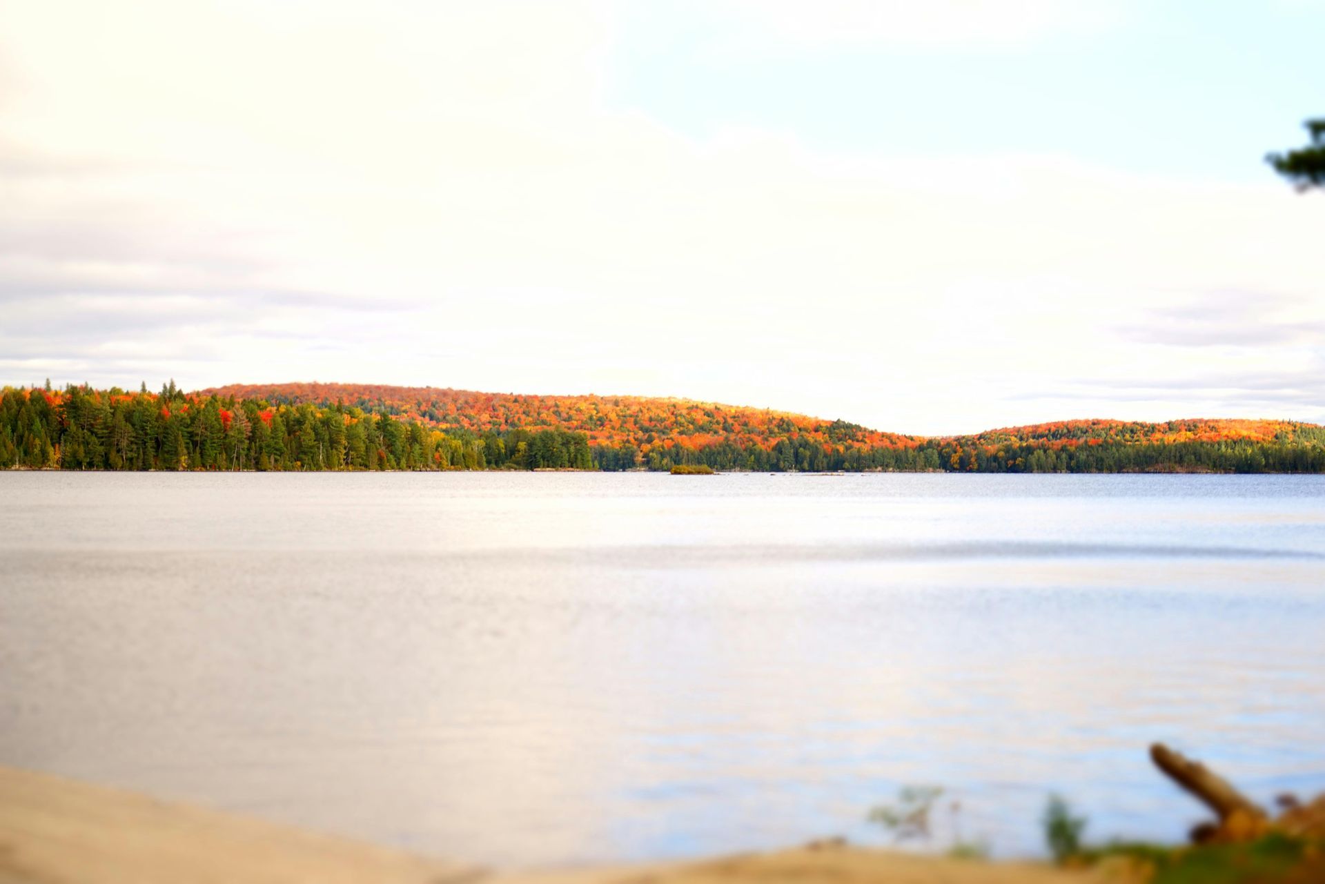 Algonquin Provincial Park, Ontario