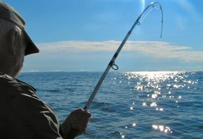 Articoli per la pesca