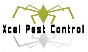 Pest Control Beaumont Ca Xcel Pest Control