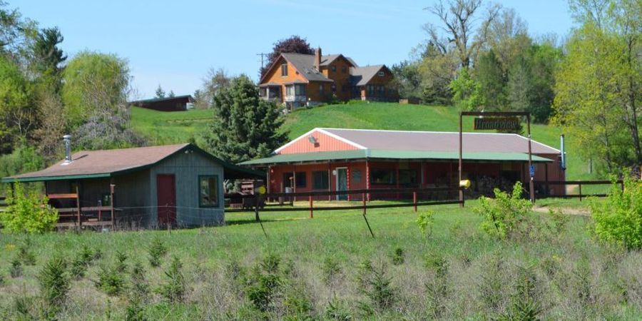 Broadview Christmas Tree Farm, Milford MI