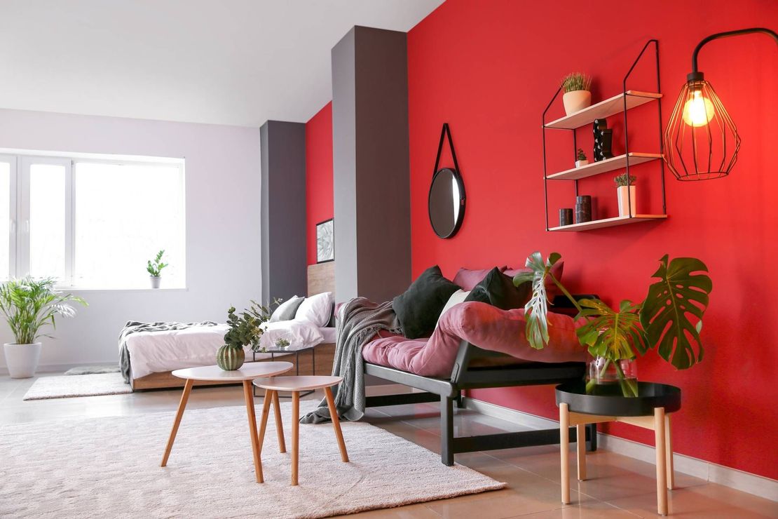 Living space with red and white walls, bed, sofa, decor, and plants.