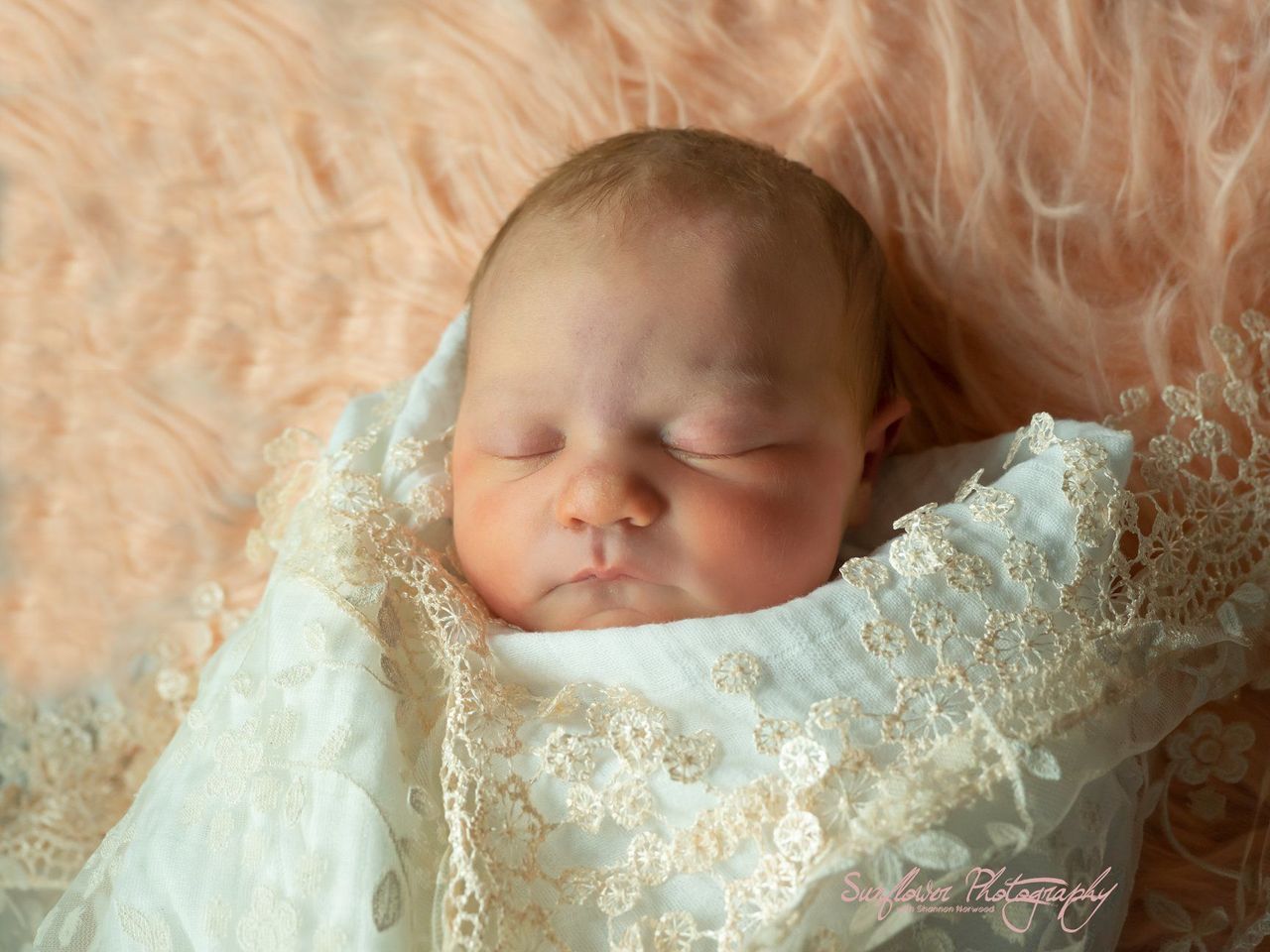 A newborn baby is wrapped in a white lace blanket.