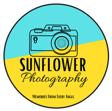 Sunflower Photography