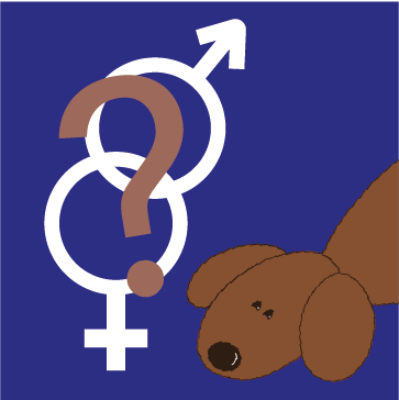 A female and male symbol next to a brown dog